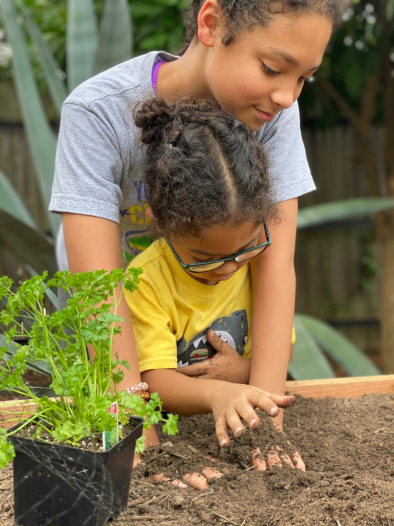Kids in the garden