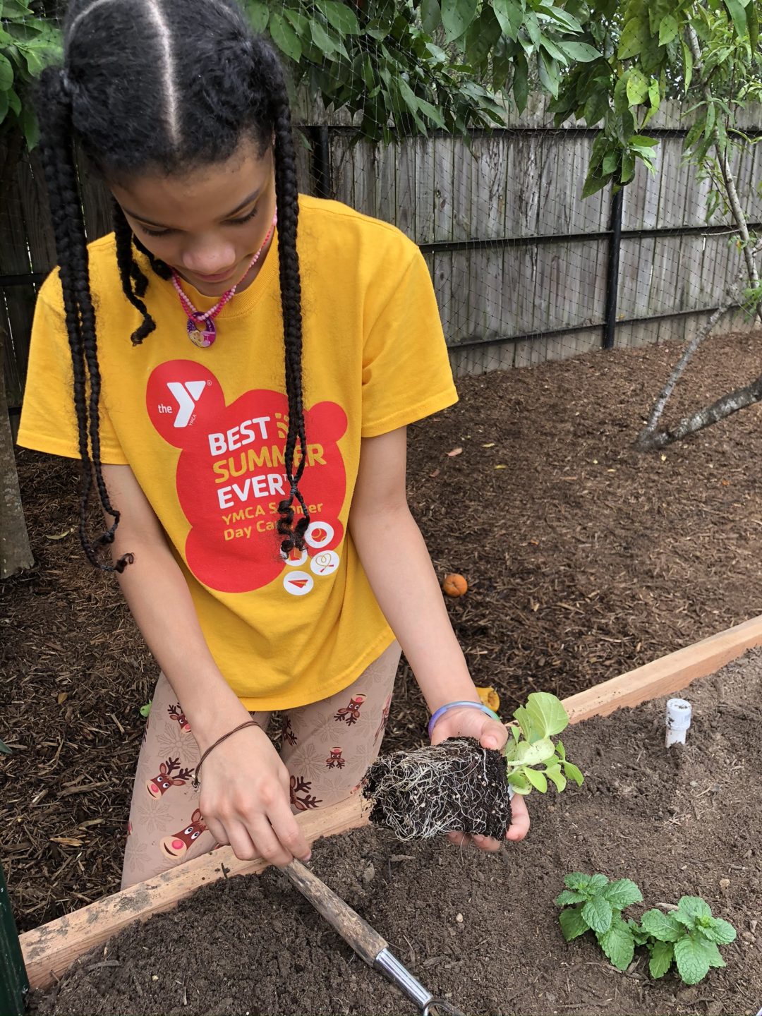 Planting a garden with your kids - Chucks, Ducks & Coconuts